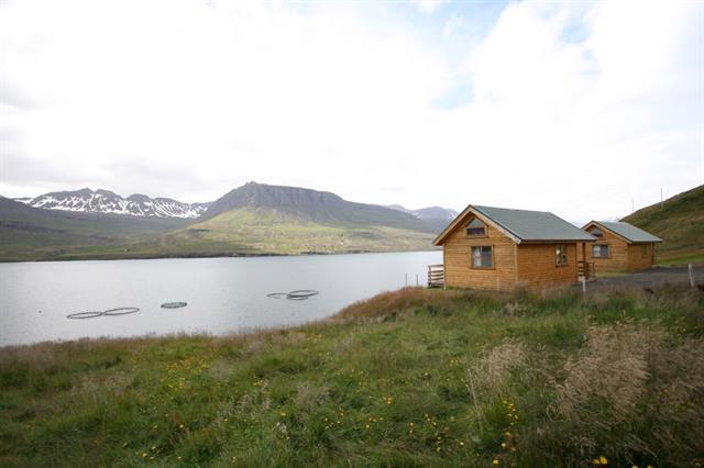 Sólbrekka in East Iceland.jpg Sólbrekka in East Iceland.jpg