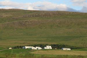Steindórsstaðir by Reykholt