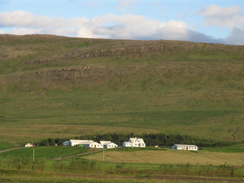 Steindórsstaðir Farm Stay Steindórsstaðir Farm Stay