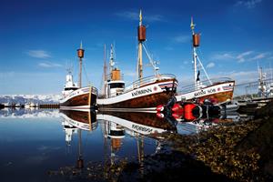 Fleet of North Sailing