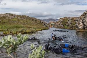 Snorkeling in Þingvellir National Park