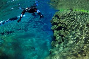 Snorkeling in Silfra