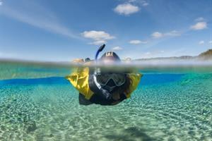 Snorkeling in the crystal clear water