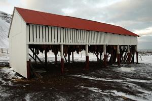 Bjarnarhöfn Shark Museum