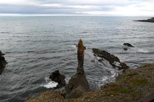 Stapavík