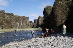 Fjaðrárgljúfur Canyon