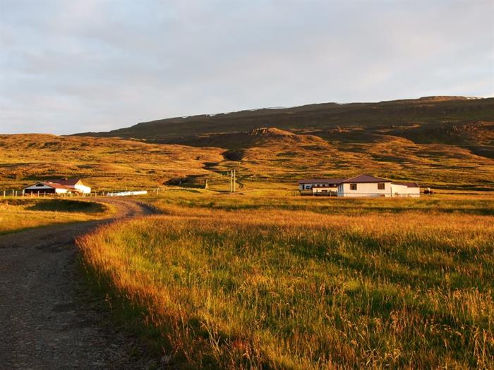 Sölvanes Farm Holiday, North West Iceland Sölvanes Farm Holiday, North West Iceland
