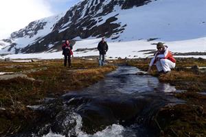 Walking in the surroundings of Heydalur