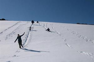 Playing in the snow