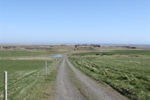 The road to Stekkatún