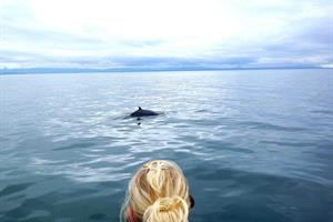 Surfacing near the boat