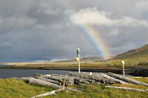 Driftwood on the shore. Most of the driftwood originates in Siberia.