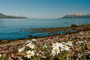 Beautiful shore near by