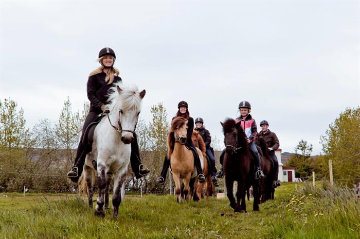 Things to do in North Iceland - Horseback riding Things to do in North Iceland - Horseback riding