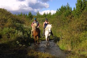 Horse riding in South Iceland
