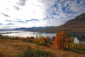 Enjoy a drive along the beautiful fjords of East Iceland.