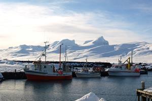 Drive along the Eastfjords with their stunning mountain scenery and pretty fishing villages.