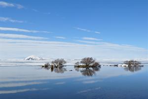 Winter at Lake Mývatn.