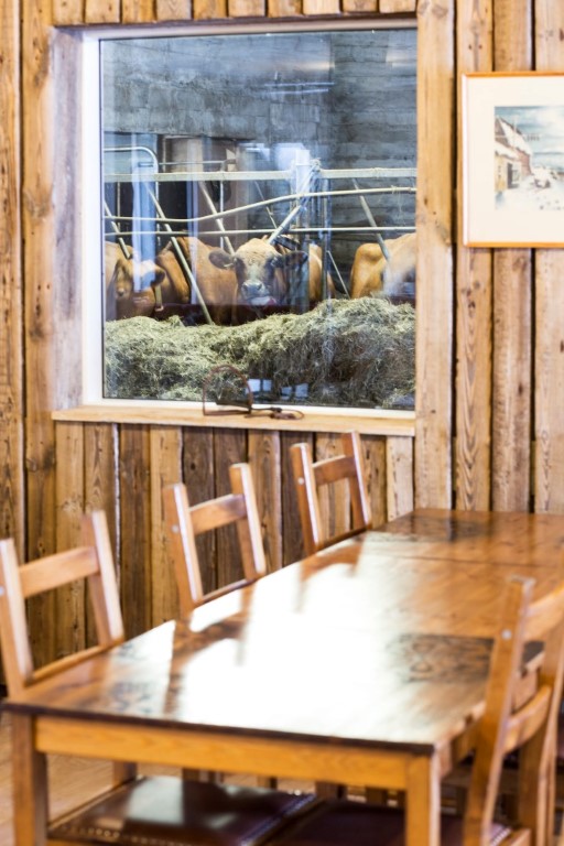 8 - 691 Efstidalur Cowshed café (3).jpg 8 - 691 Efstidalur Cowshed café (3).jpg